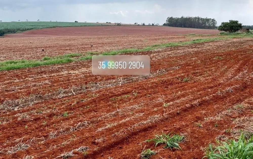 Fazenda, 210 hectares - Foto 24
