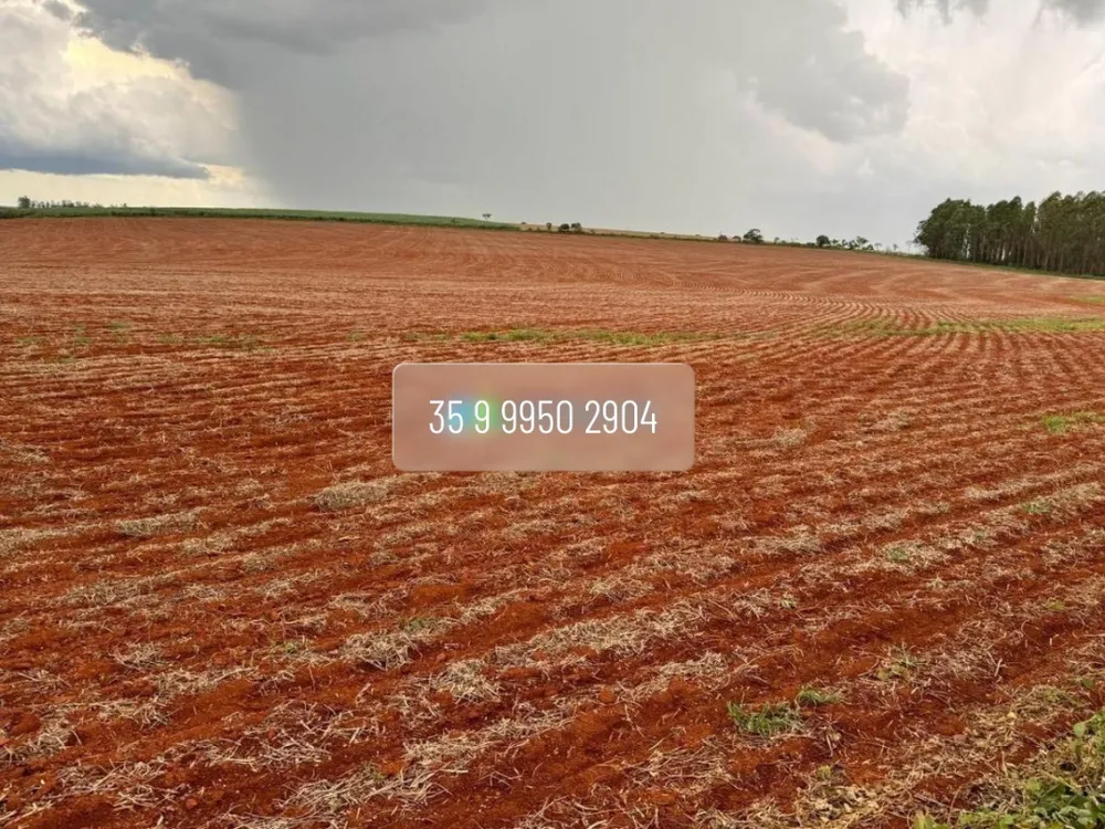 Fazenda, 210 hectares - Foto 22