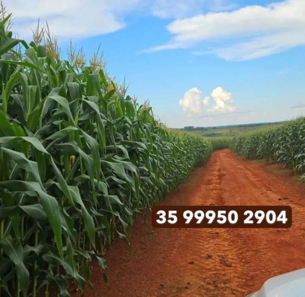 Fazenda, 210 hectares - Foto 20