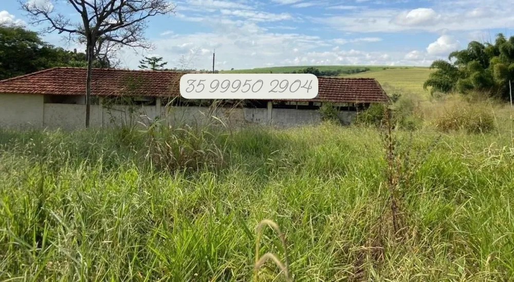 Fazenda, 210 hectares - Foto 16
