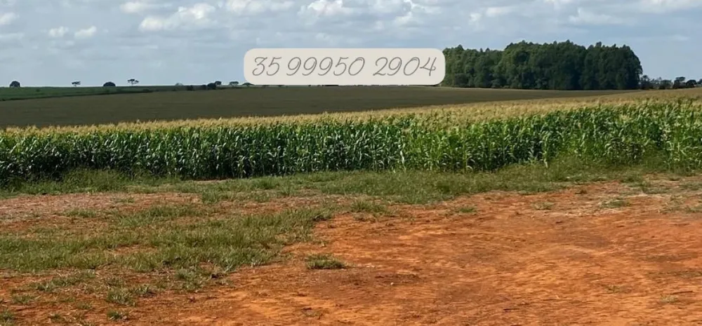 Fazenda, 210 hectares - Foto 10