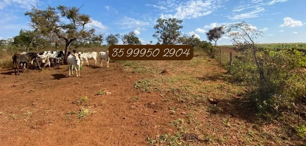 Fazenda, 210 hectares - Foto 23