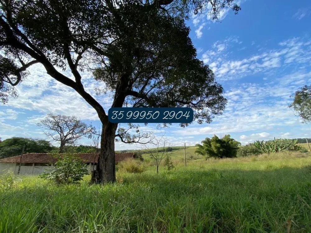 Fazenda, 210 hectares - Foto 17