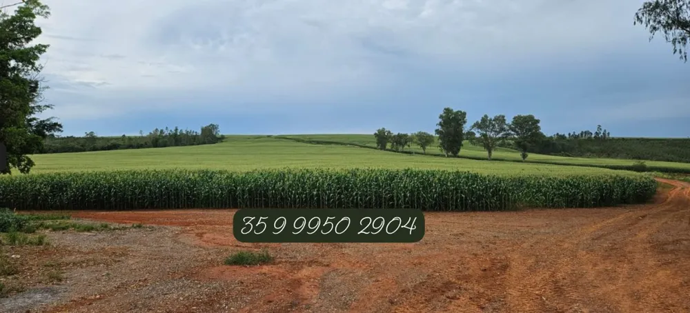 Fazenda, 210 hectares - Foto 12