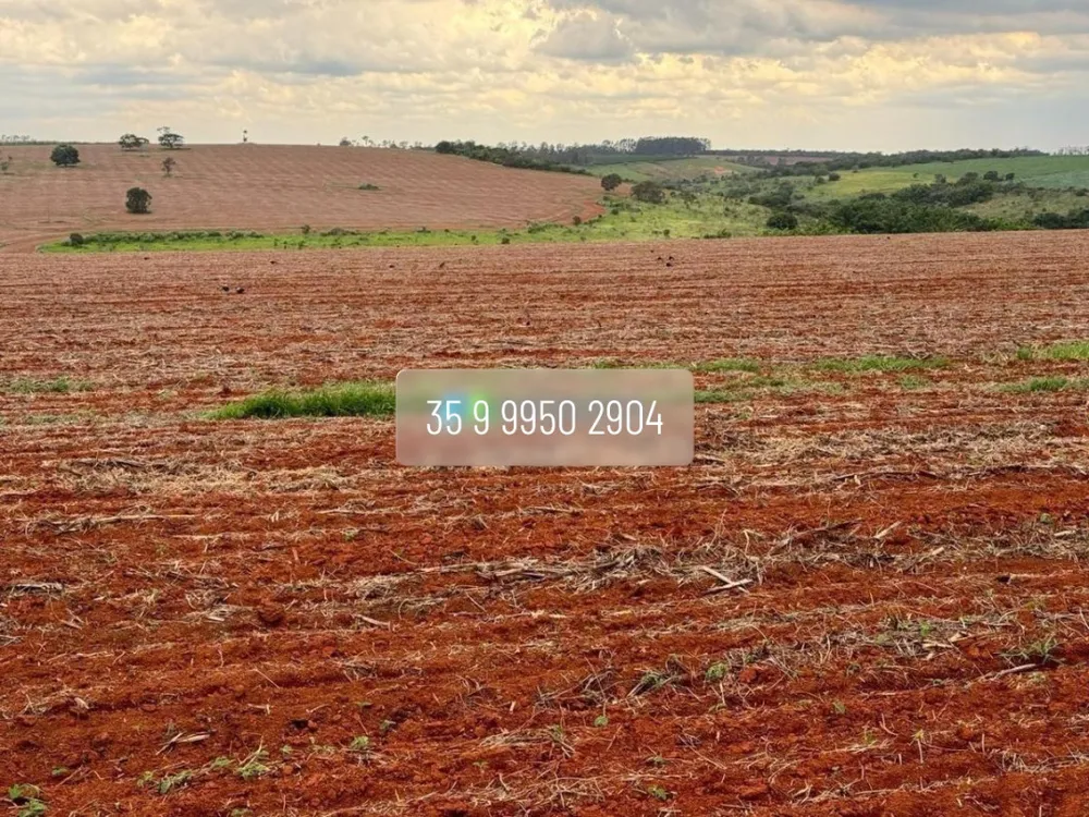 Fazenda, 210 hectares - Foto 21