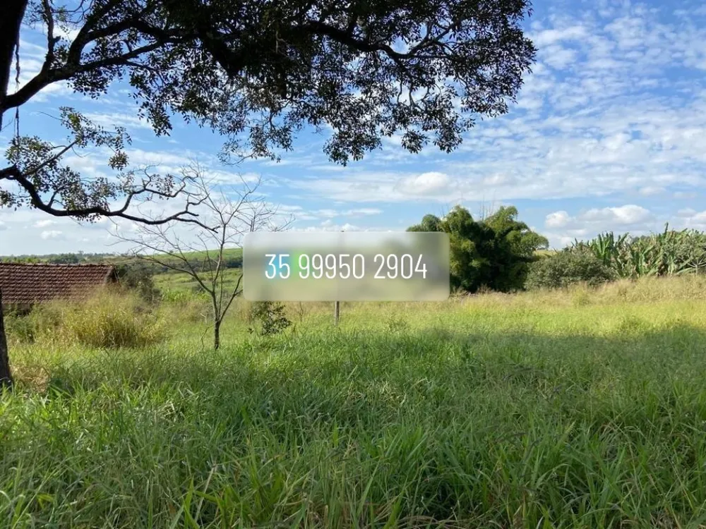 Fazenda, 210 hectares - Foto 19