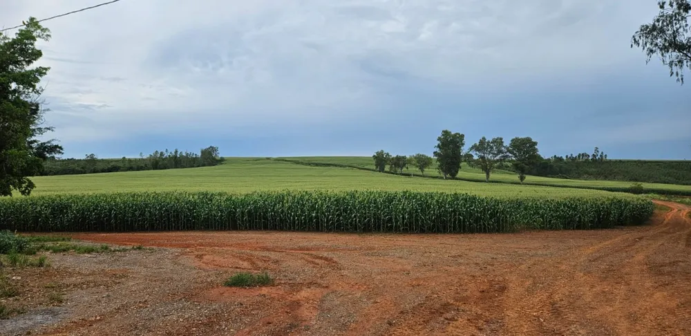 Fazenda, 210 hectares - Foto 1