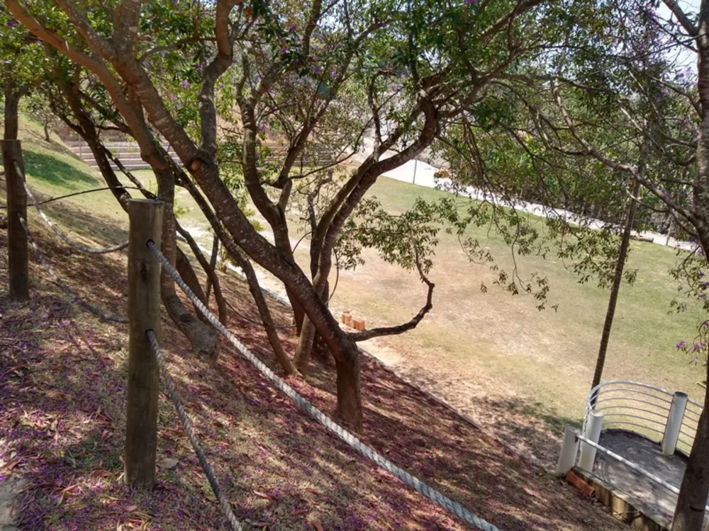 Chácara, 7 quartos, 5000 m² - Foto 11