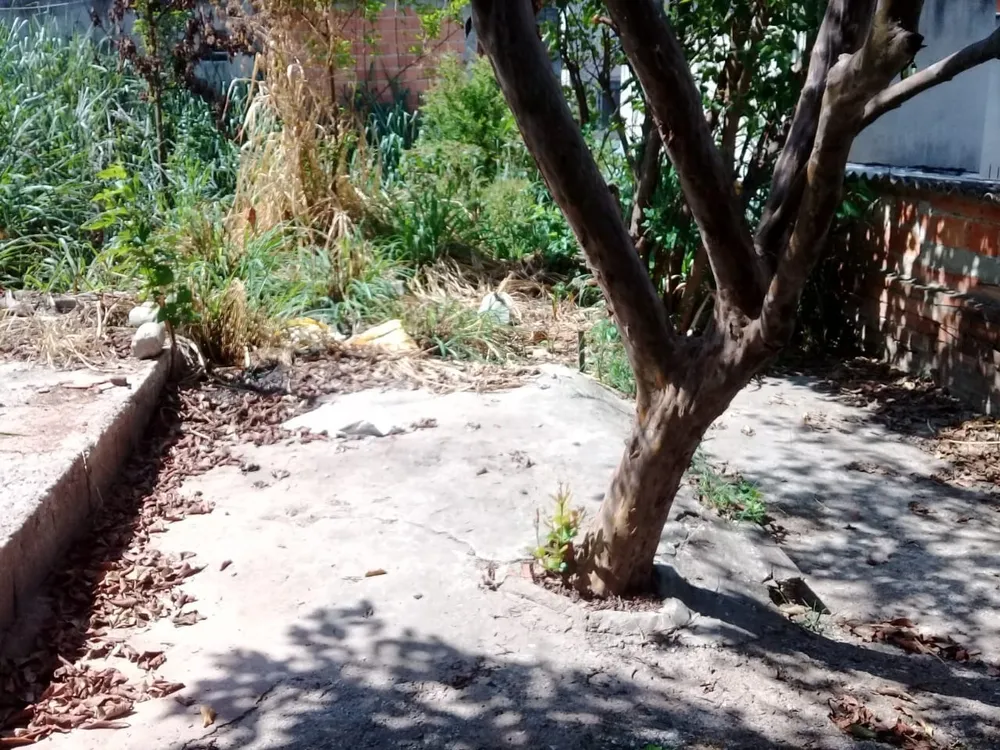 Terreno, 360 m² - Foto 2