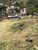 Terreno, 3015 m² - Foto 4