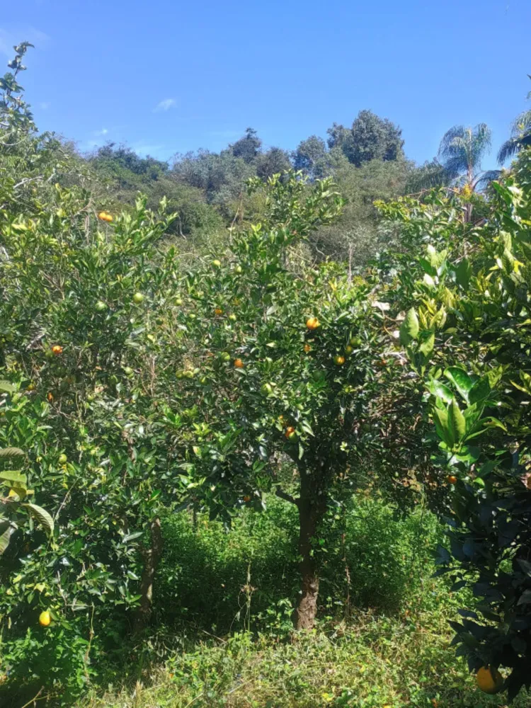 Fazenda, 1 quarto - Foto 20