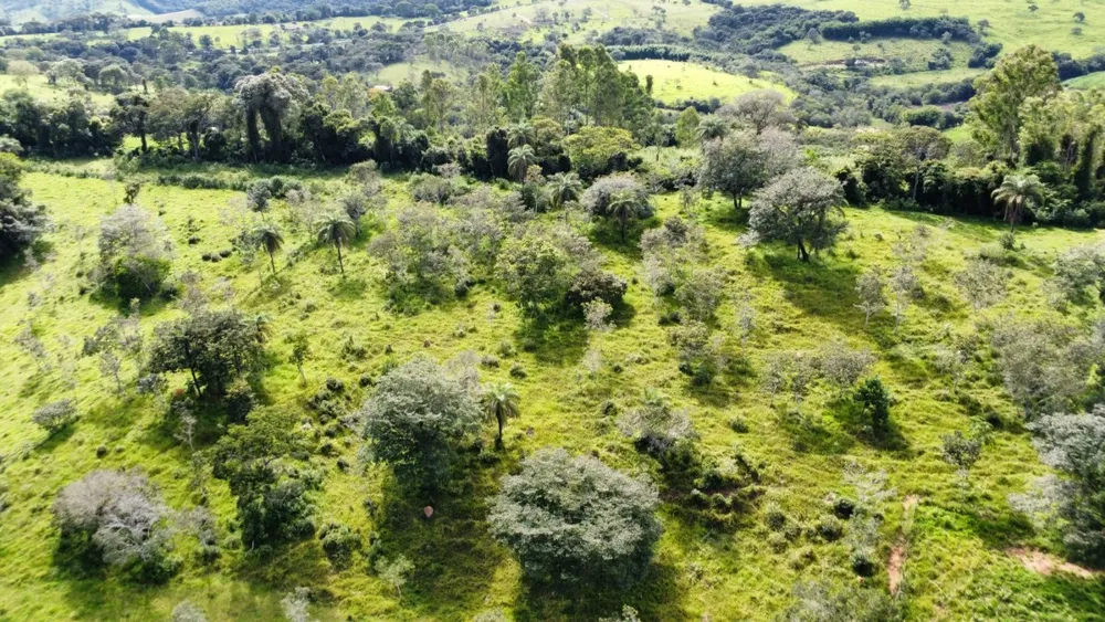 Fazenda, 1 quarto - Foto 9