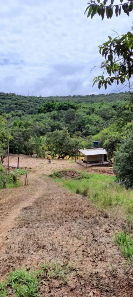 Terreno à venda com 1 quarto, 4200m² - Foto 1