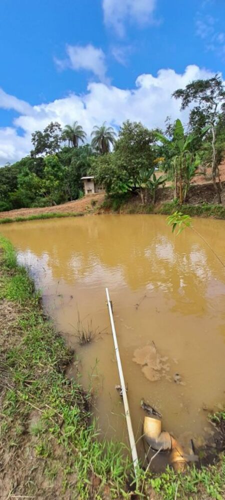 Terreno à venda com 1 quarto, 4200m² - Foto 6