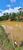 Terreno, 4200 m² - Foto 6