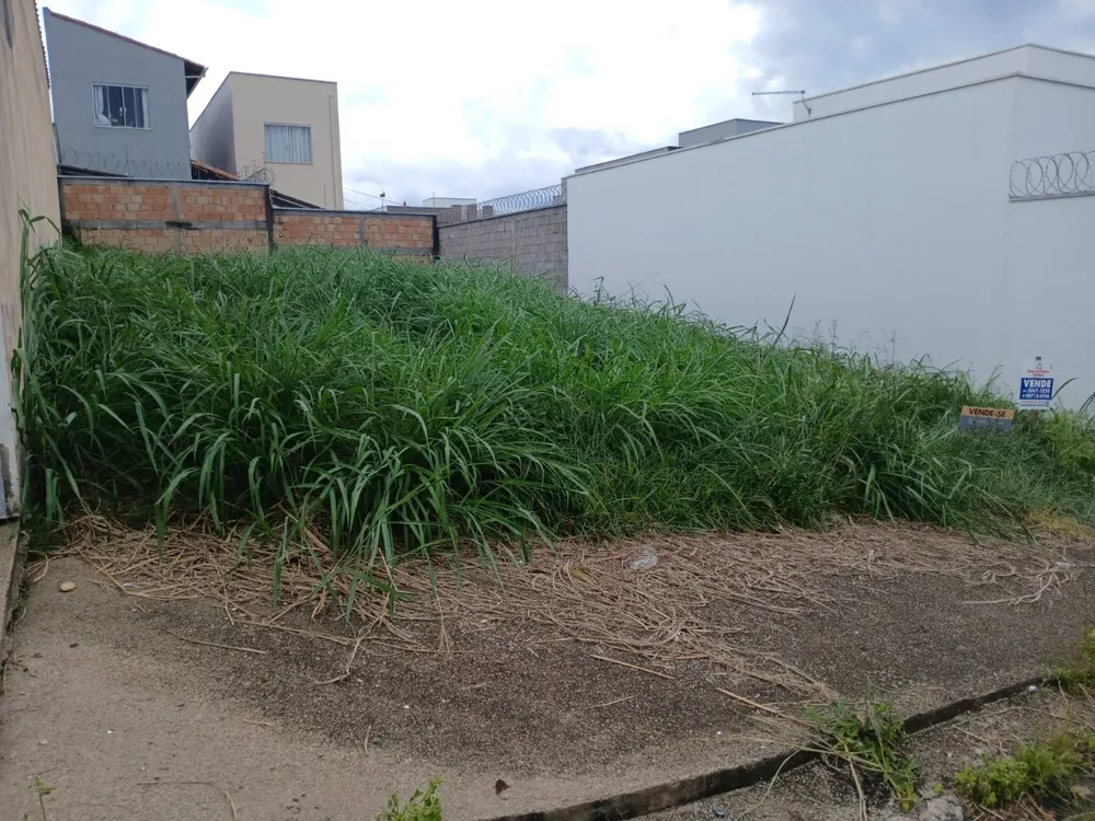 Terreno, 200 m² - Foto 4
