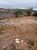 Terreno, 360 m² - Foto 3
