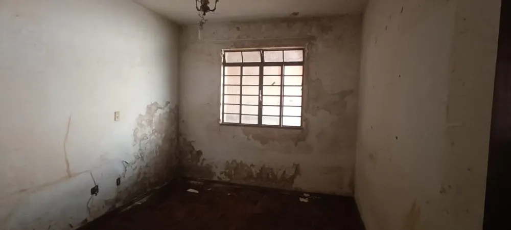 Casa, 4 quartos, 360 m² - Foto 10