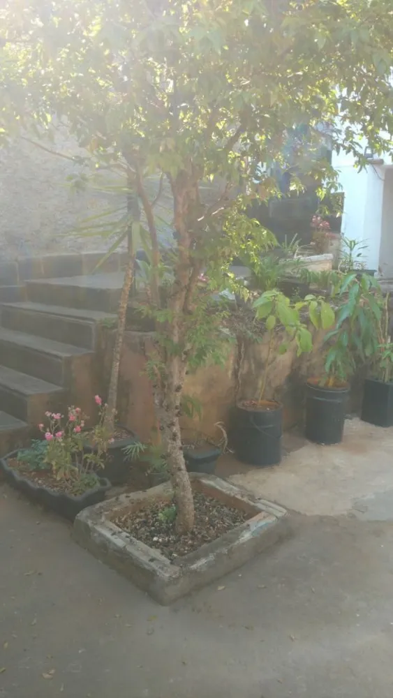 Casa, 3 quartos, 219 m² - Foto 11