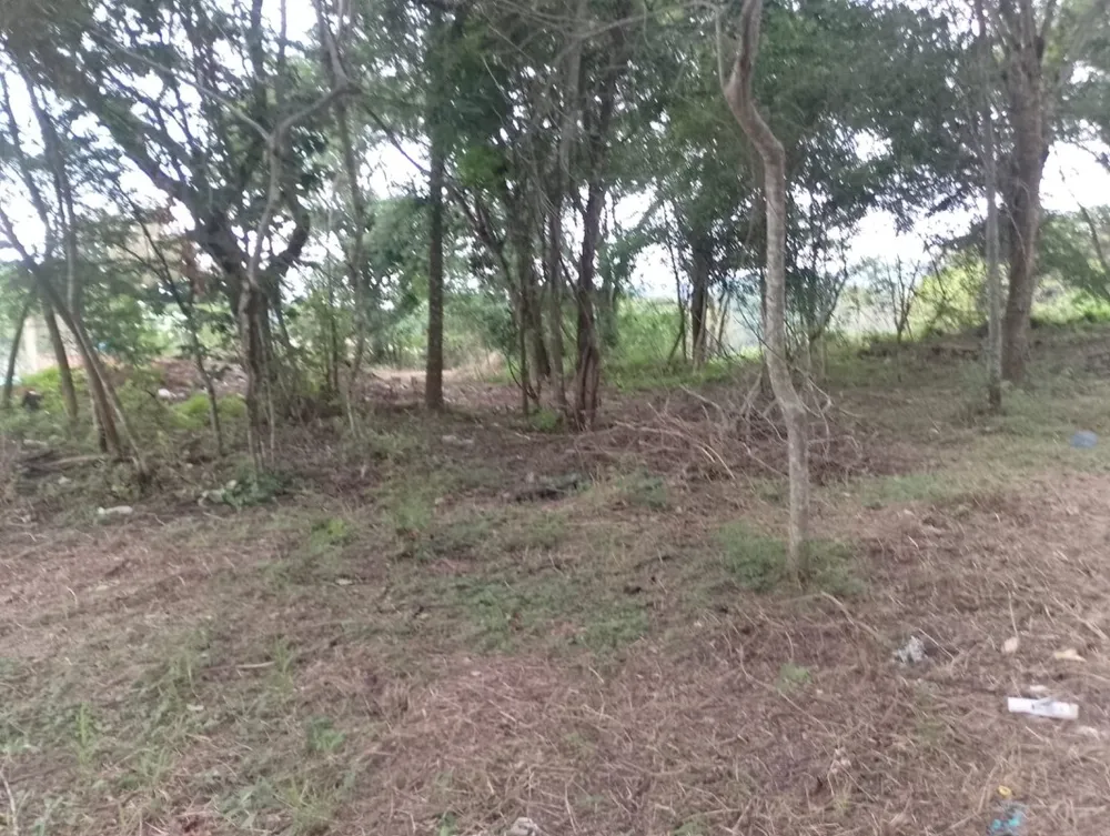 Terreno, 1500 m² - Foto 7