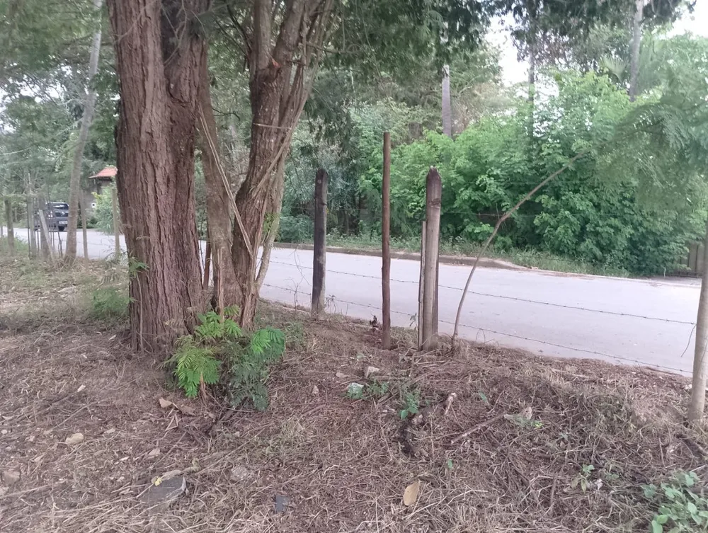 Terreno, 1500 m² - Foto 3