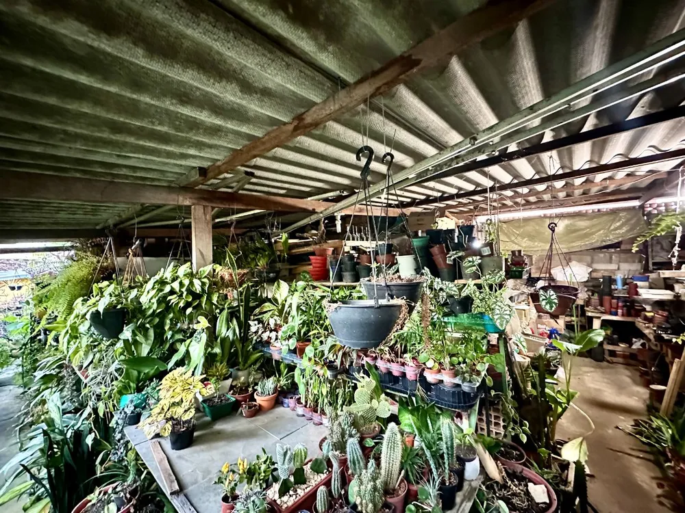 Casa, 3 quartos, 200 m² - Foto 12