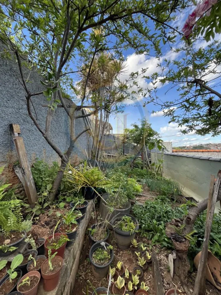 Casa, 4 quartos, 360 m² - Foto 12