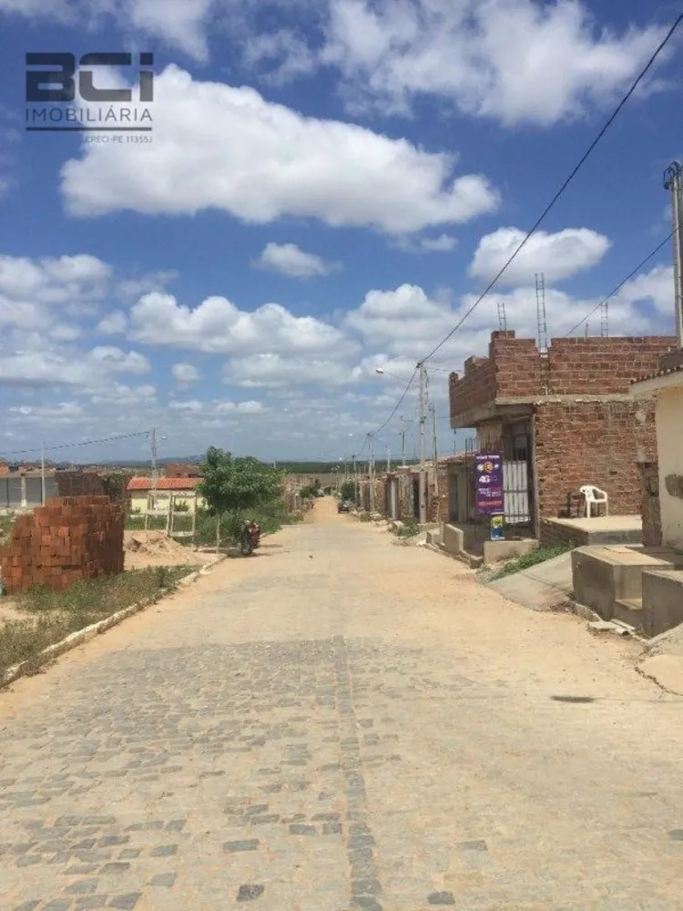 Terreno, 12000 m² - Foto 13