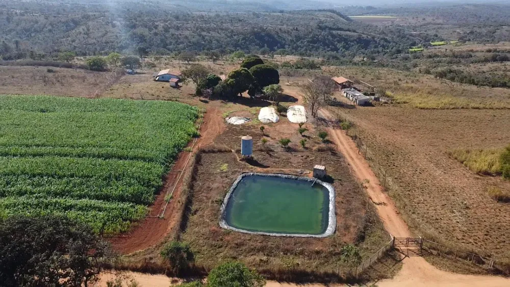 Fazenda, 12 hectares - Foto 3