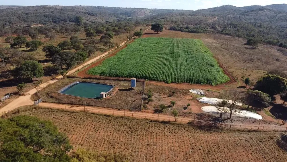 Fazenda, 12 hectares - Foto 12
