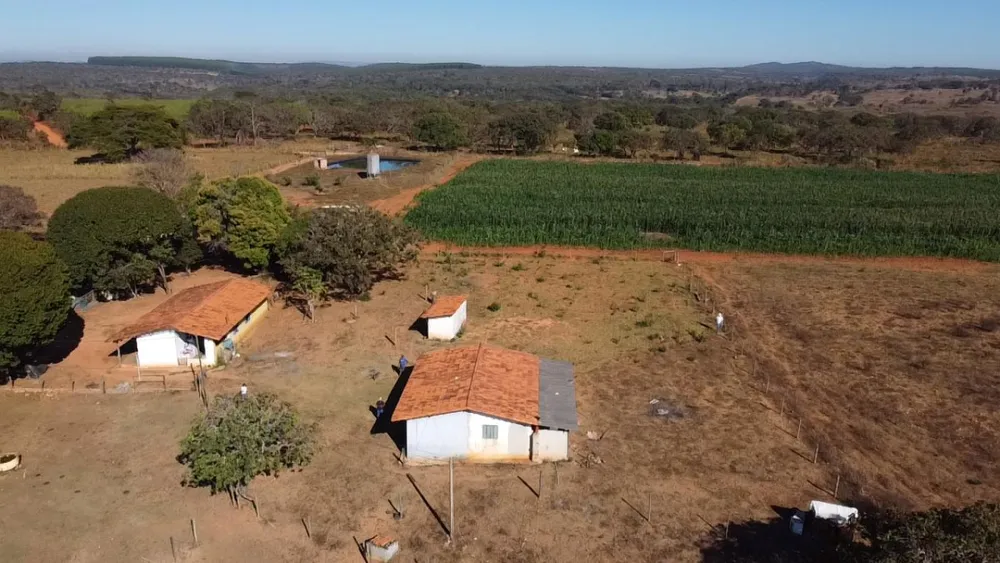 Fazenda, 12 hectares - Foto 4