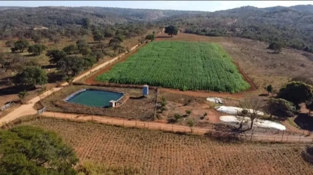 Fazenda, 12 hectares - Foto 1