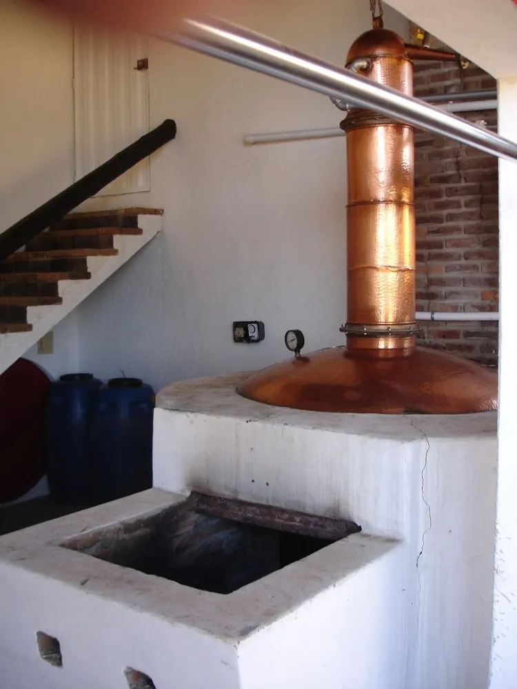 Fazenda, 6 quartos - Foto 3