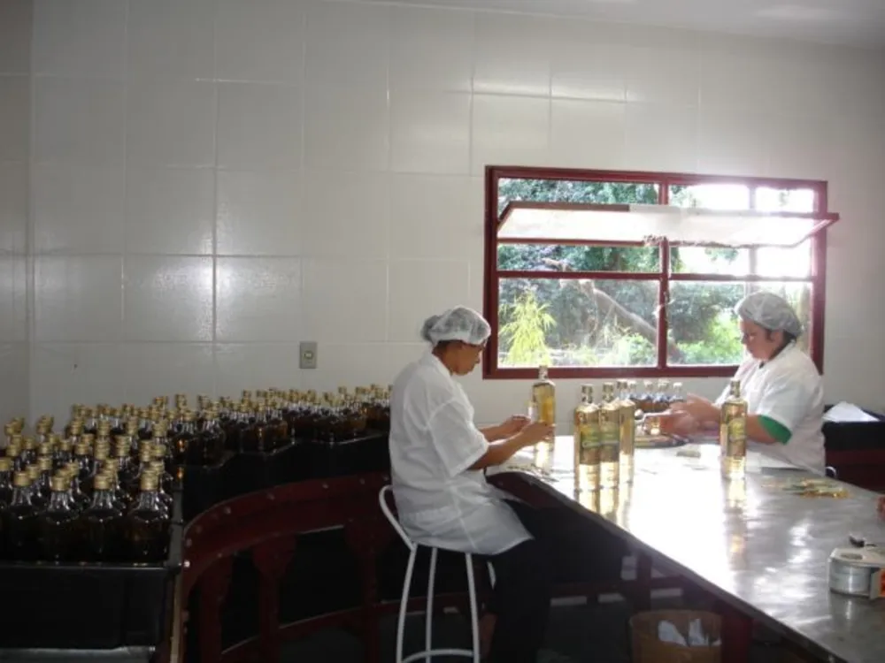 Fazenda, 6 quartos - Foto 1