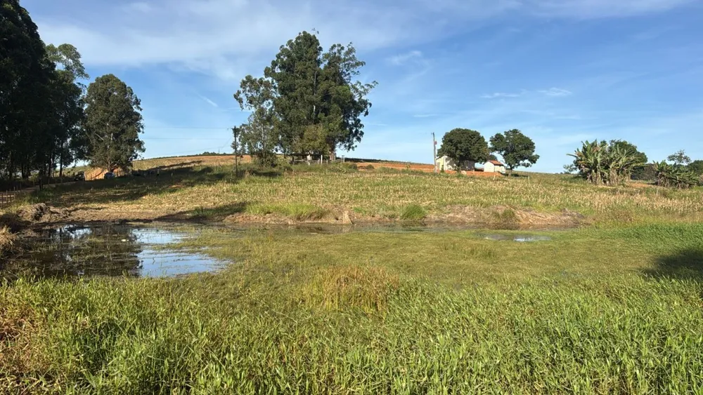 Fazenda, 83 hectares - Foto 1