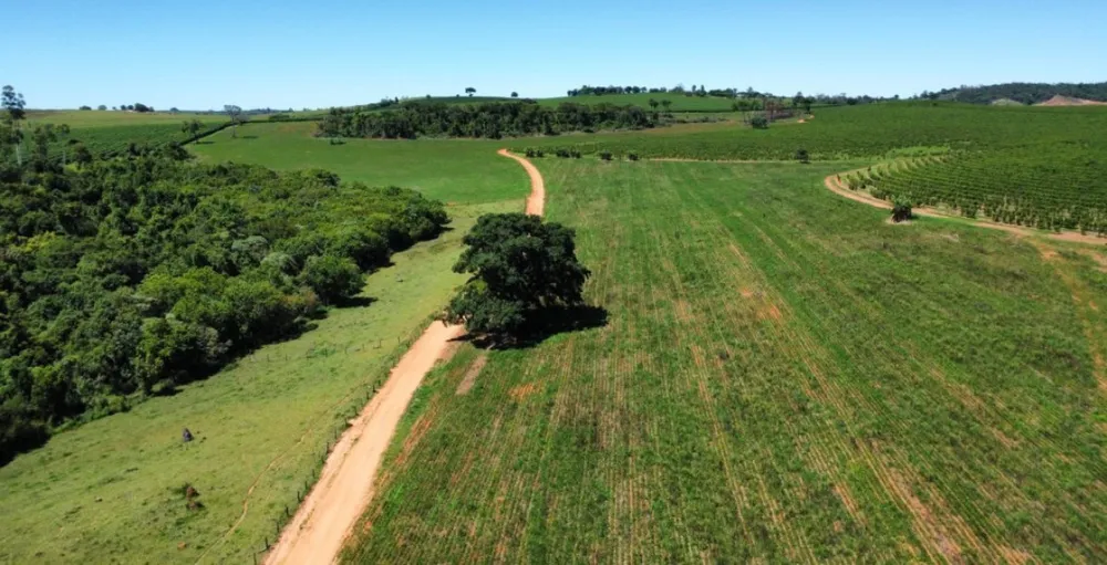 Fazenda, 83 hectares - Foto 11