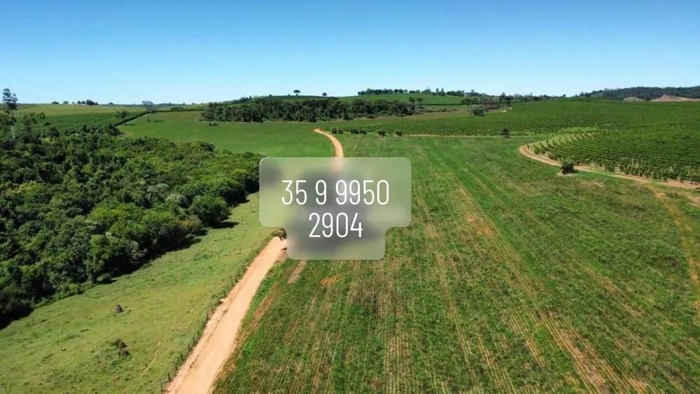 Fazenda, 83 hectares - Foto 7