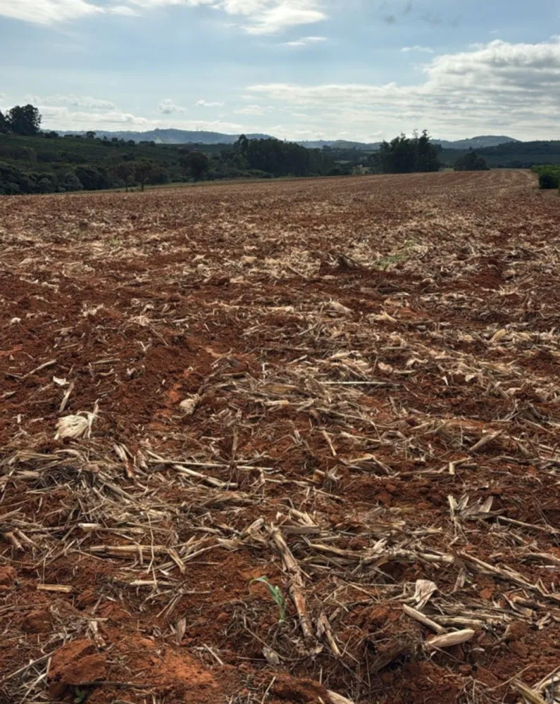 Fazenda, 83 hectares - Foto 10