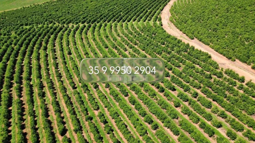 Fazenda, 83 hectares - Foto 6