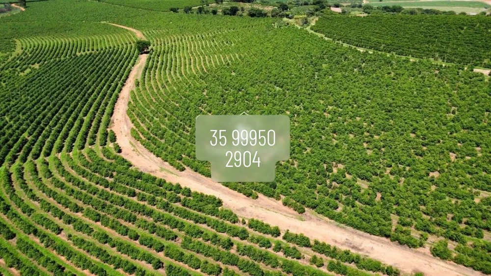 Fazenda, 83 hectares - Foto 8