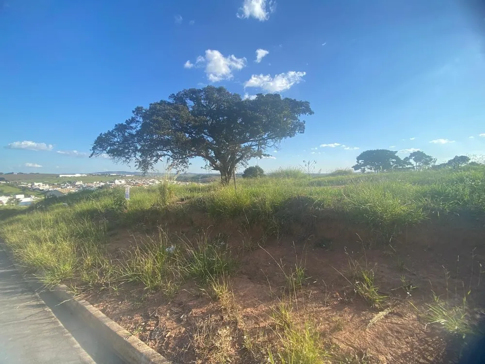 Terreno, 598 m² - Foto 8