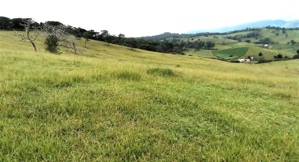 Fazenda, 131 hectares - Foto 1