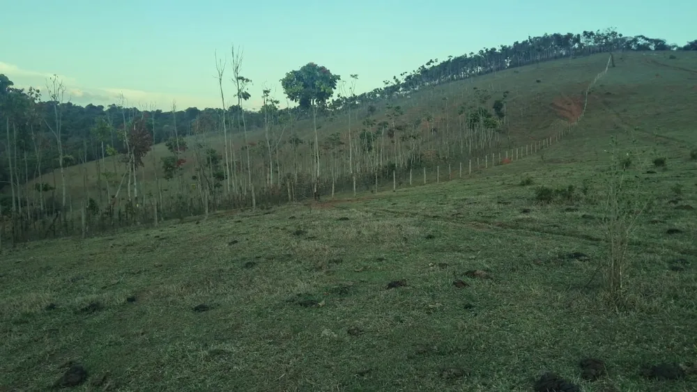 Fazenda, 131 hectares - Foto 2