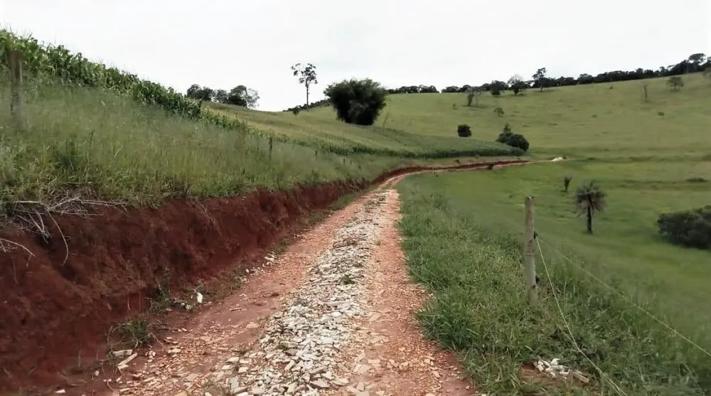 Fazenda, 131 hectares - Foto 8
