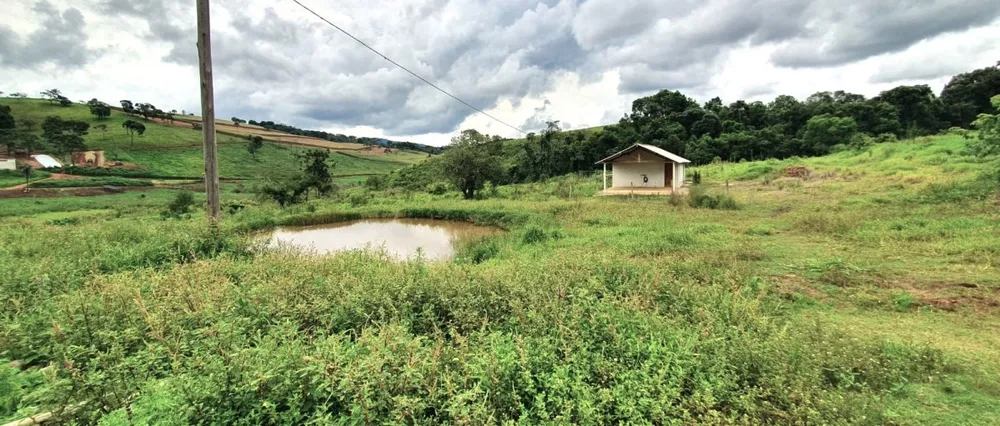 Fazenda, 131 hectares - Foto 2