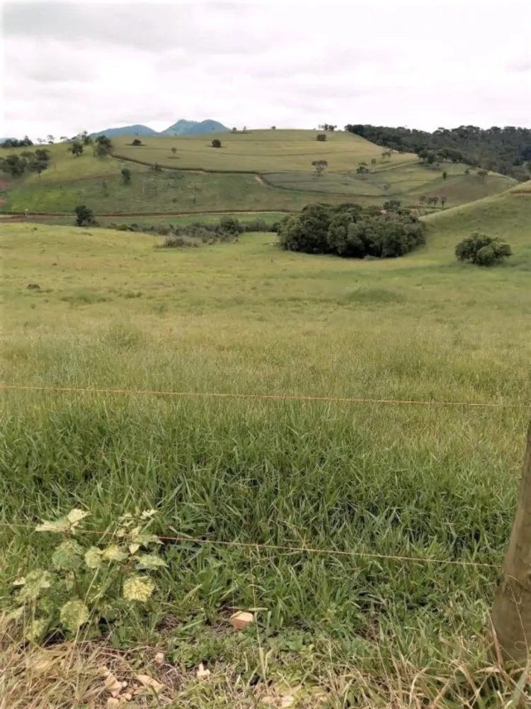 Fazenda, 131 hectares - Foto 6