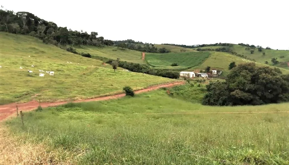 Fazenda, 131 hectares - Foto 3