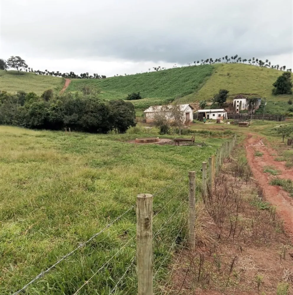 Fazenda, 131 hectares - Foto 7