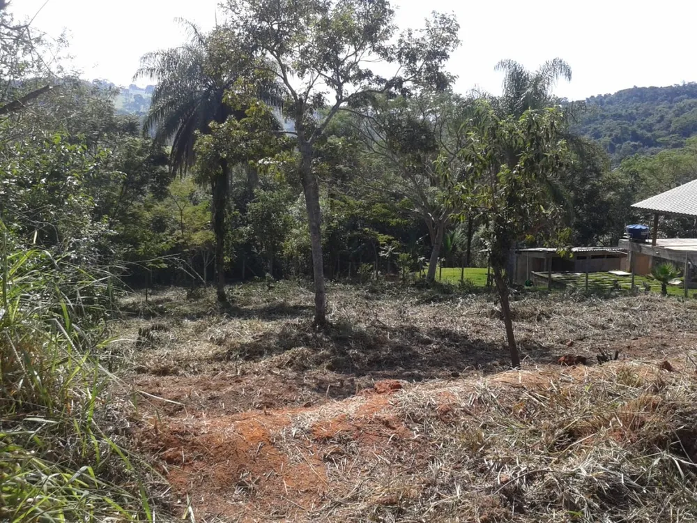Terreno, 1089 m² - Foto 5