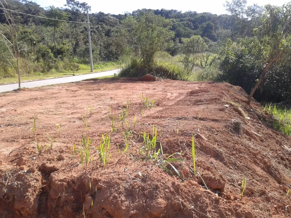 Terreno, 1089 m² - Foto 4